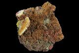 Wulfenite Crystal on Matrix - Mexico #67696-1